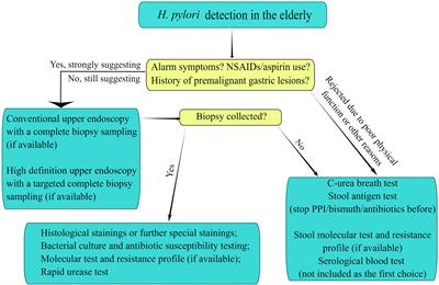 Focusing on Helicobacter pylori infection in the elderly